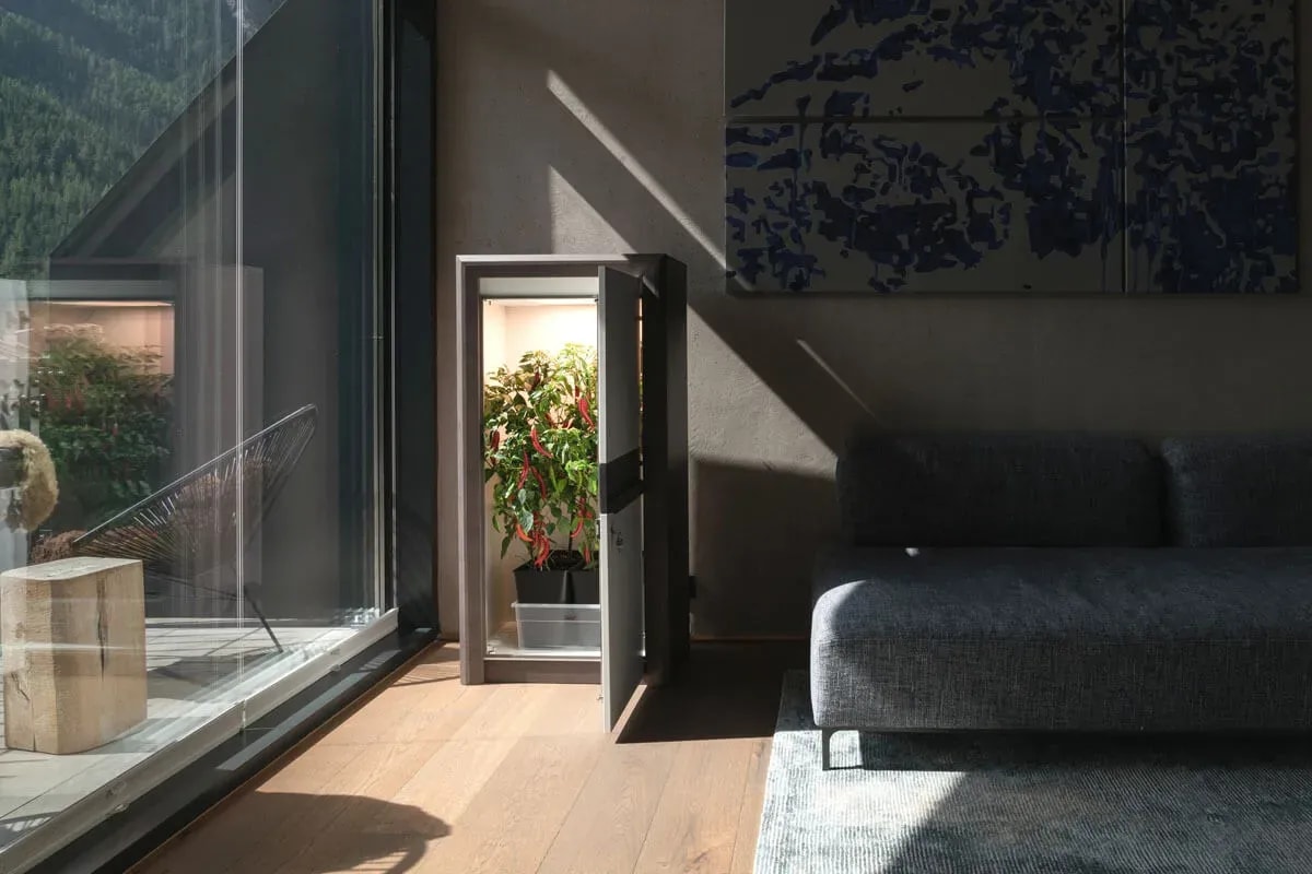 Exklusive Growbox mit Aktivkohlefilter online bestellen