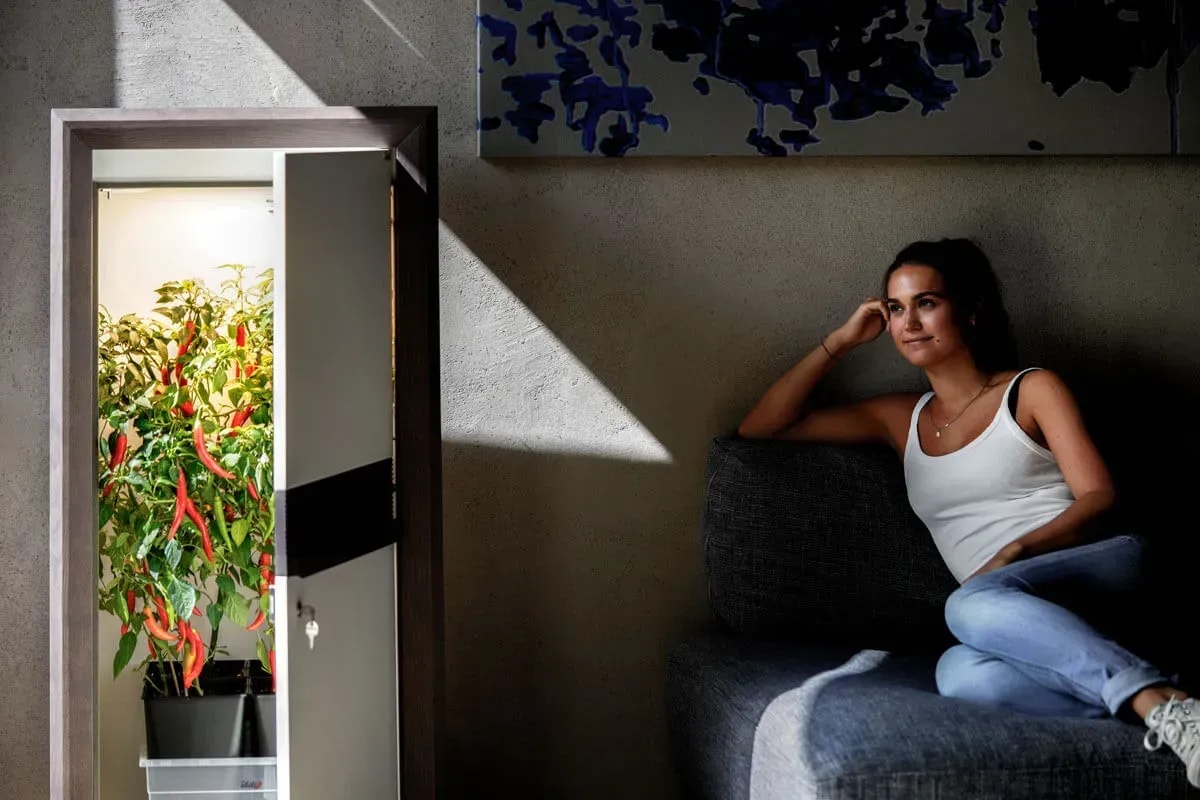 Unauffällige Growbox für Zuhause kaufen