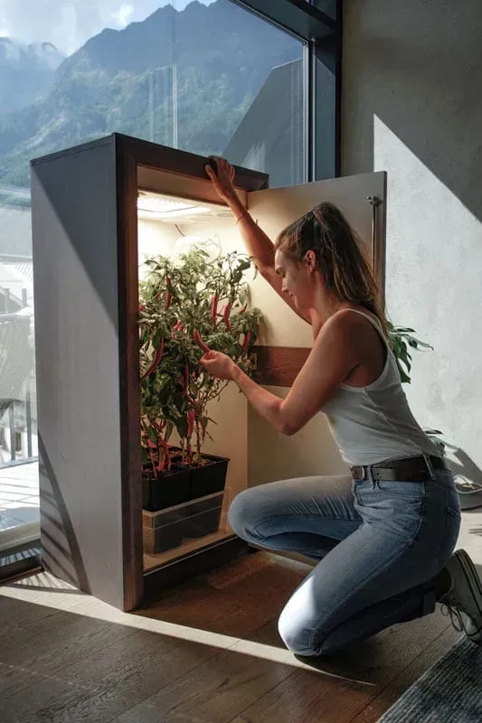 Homegrow-Box mit Geruchsfilter kaufen