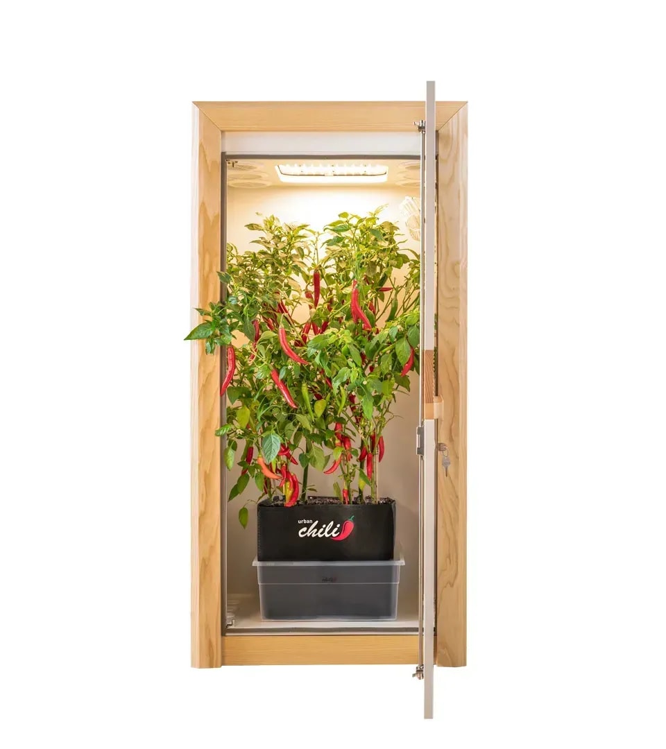 Wie viel kostet eine Growbox im Monat?