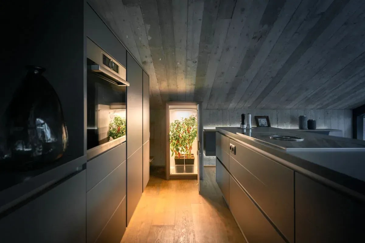 Preiswerte Growboxen mit Aktivkohlefilter online kaufen