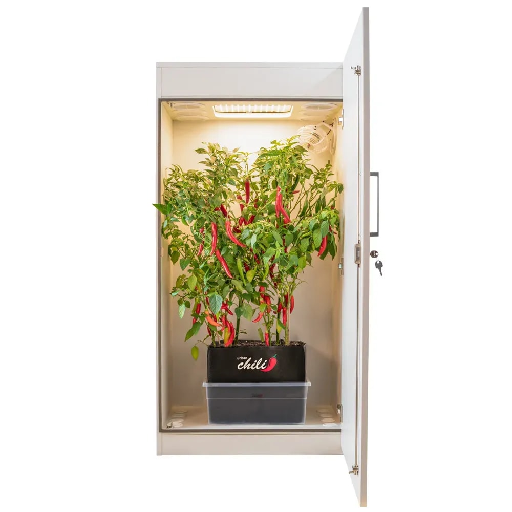 Stilvolle Growbox mit Geruchsschutz für Zuhause kaufen