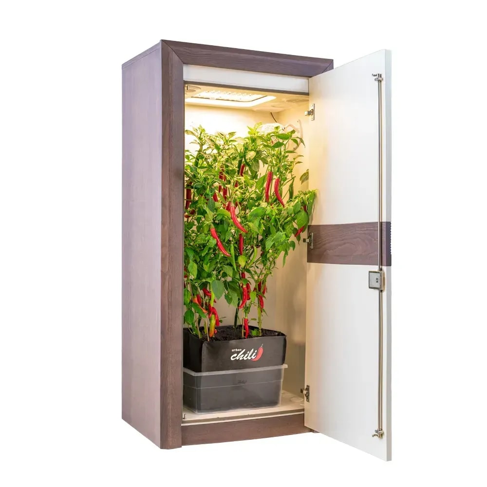 Growschrank Komplettset in Premium-Qualität kaufen