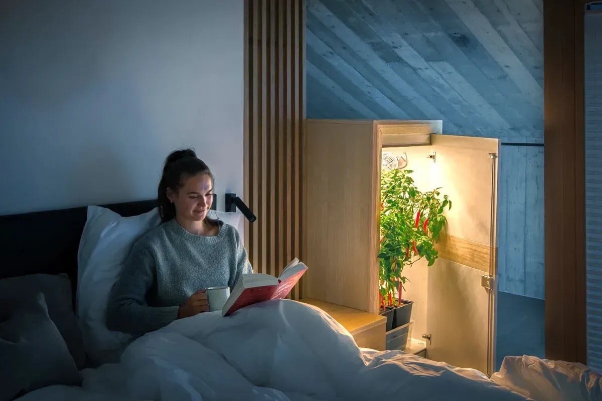 Ist eine Growbox wirklich geruchsdicht?